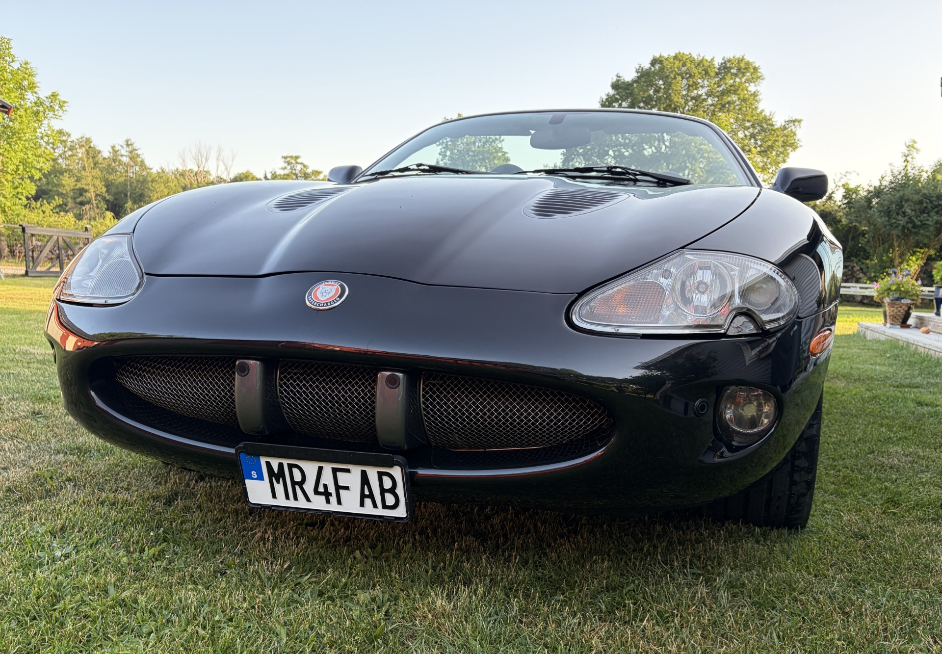Front view of a black Jaguar XKR sports car with hood vents, headlights, and license plate on grass.
